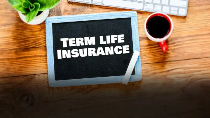Term Insurance vs Whole Life Insurance: Which to Buy? – Insurance
